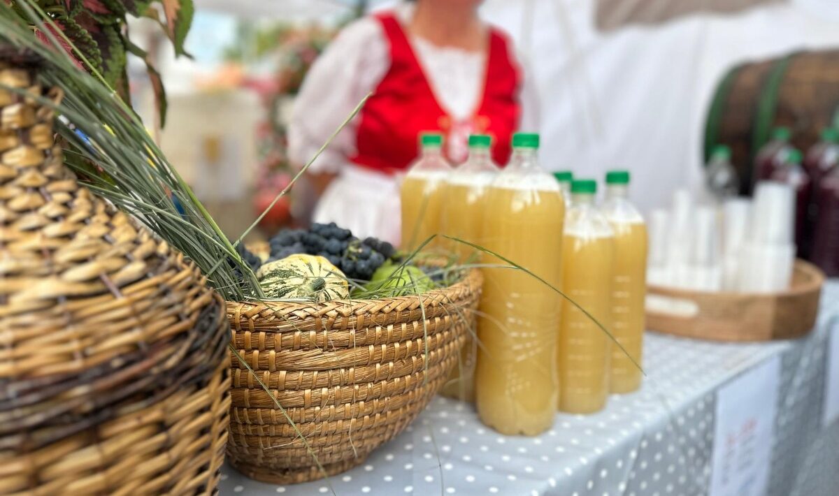 Tokajské vinobranie 2025: Tradícia, víno a zážitky