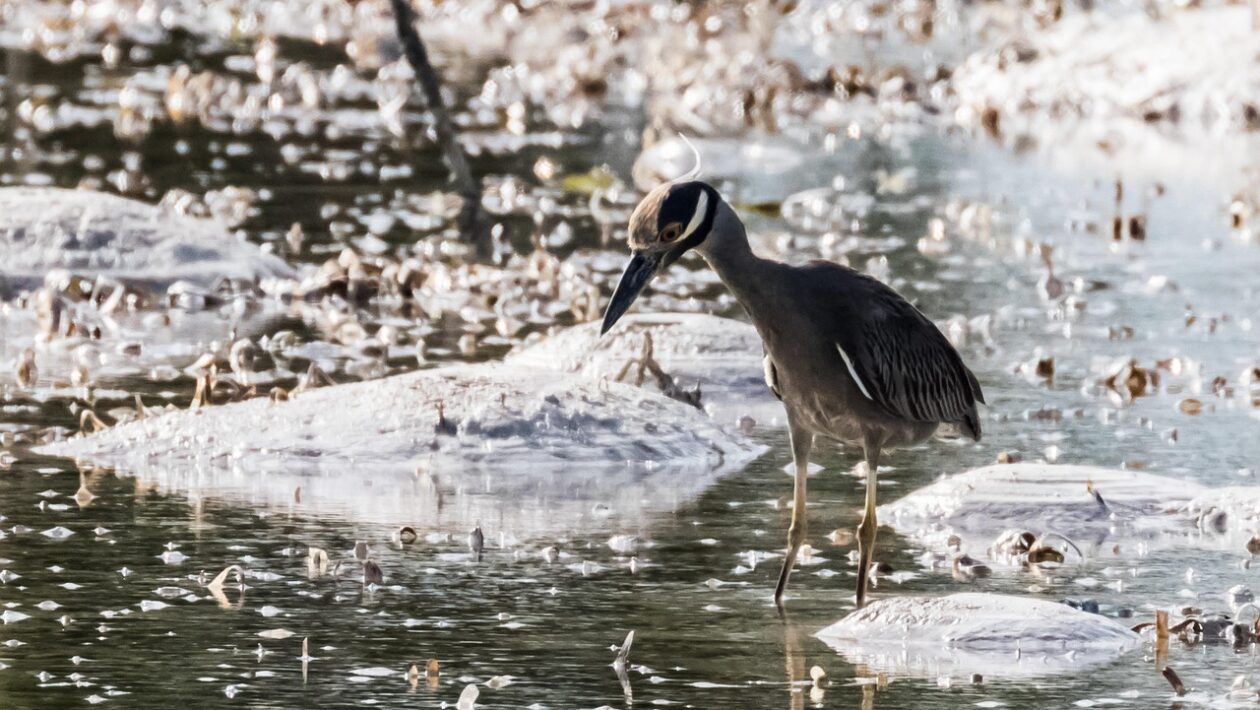 Okolie očí: Výber krémov a šetrná aplikačná technika