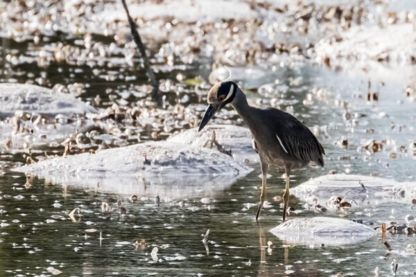 Okolie očí: Výber krémov a šetrná aplikačná technika