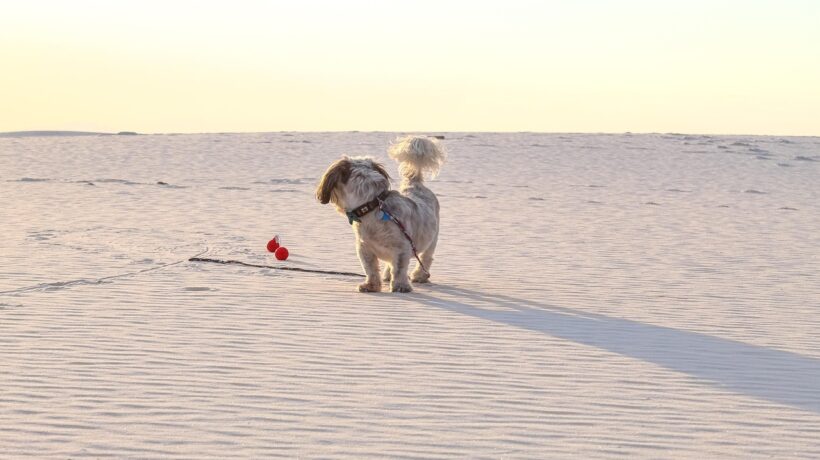 SPF re-aplikácia nad makeupom: Prášky, spreje, hubky – metodika