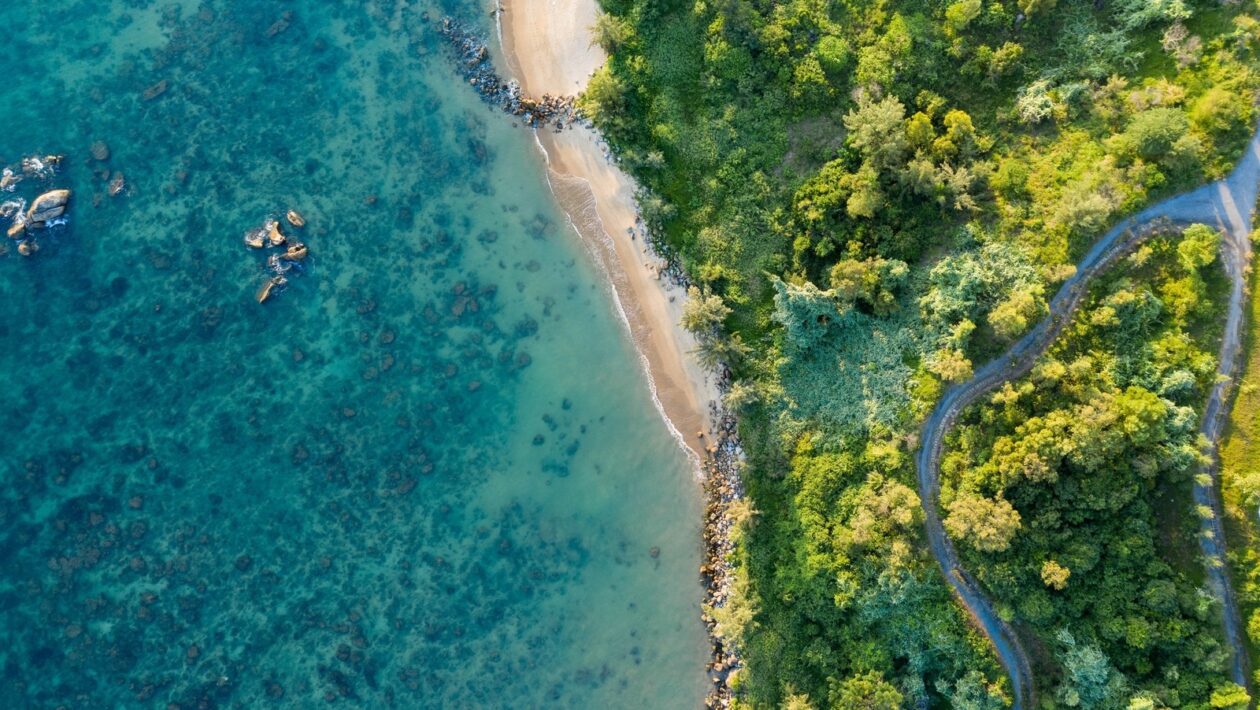 Digitálny rytmus: Frekvencia správ – Hranica medzi záujmom a zahltením