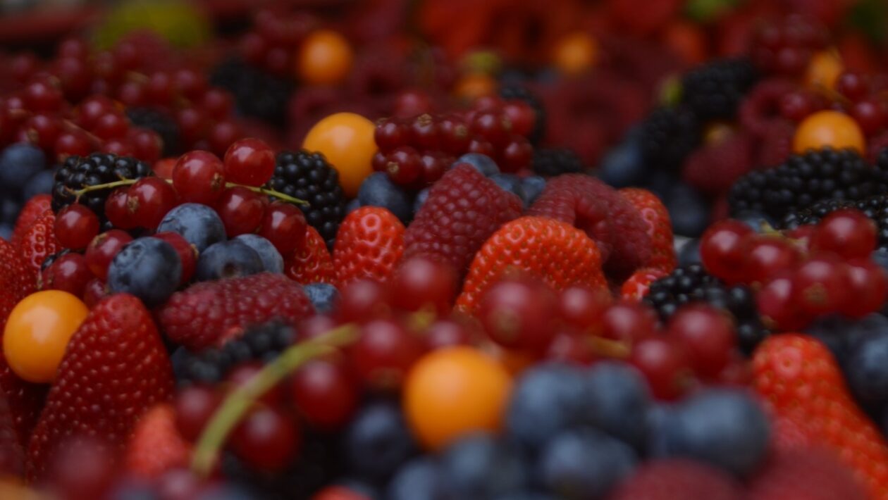 Telesná blízkosť: Intimita – Tempo, komfort a komunikácia pred aktom