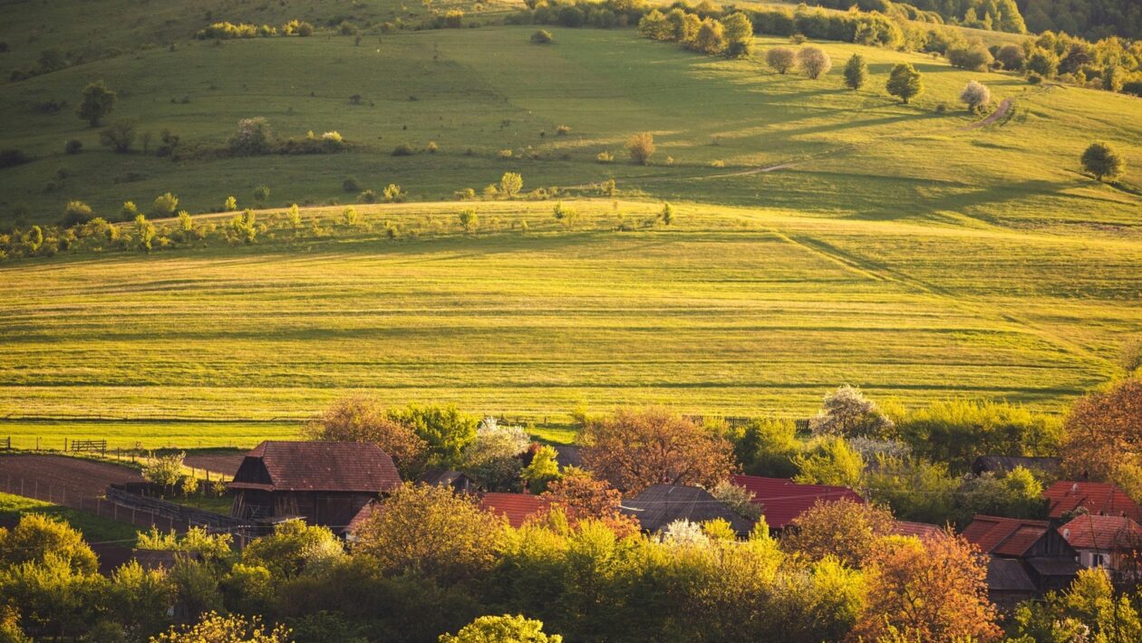 Termoregulácia pre wellness: Komparatívna analýza cold exposure vs. sauna
