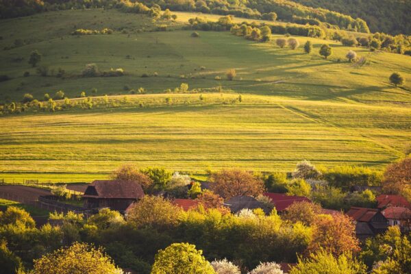 Termoregulácia pre wellness: Komparatívna analýza cold exposure vs. sauna