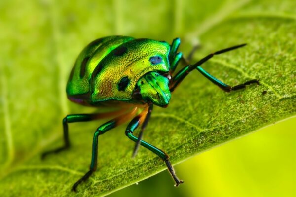 Podlahové vytápění: Návrh, inštalácia a regulácia