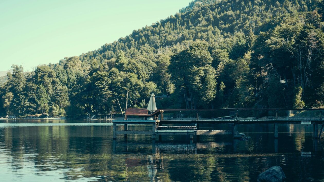 Sklad: Návrh a skladovacie systémy