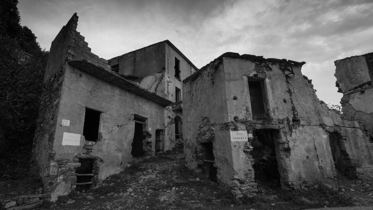 Adaptogény: Prehľad, účinky ashwagandhy, rhodioly a ženšenu na stres a výkon