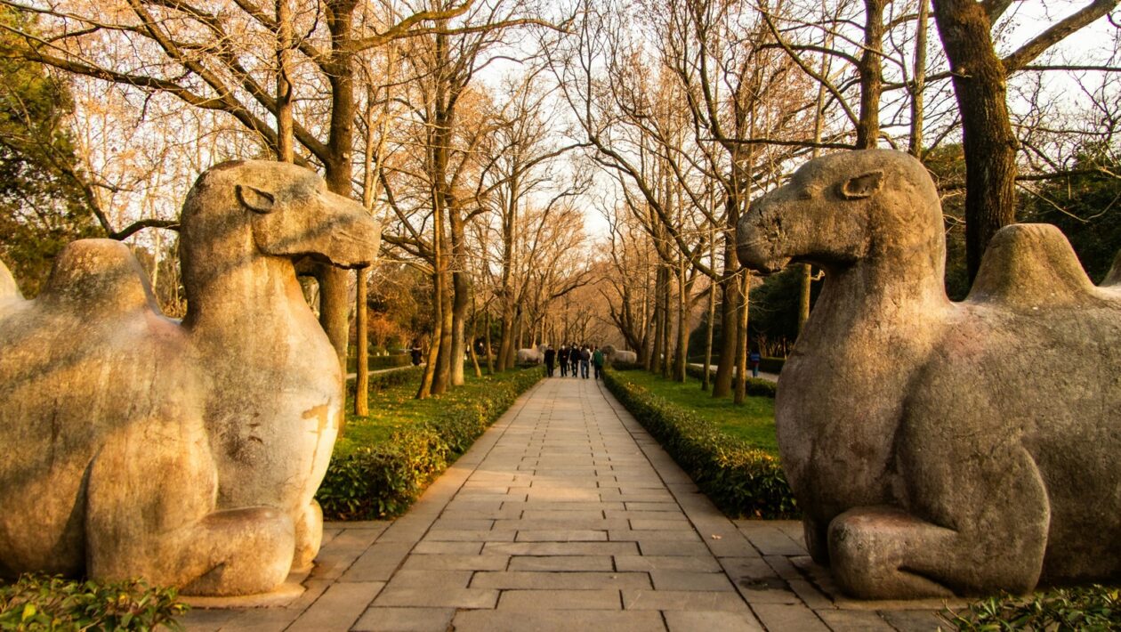 Spirulina a chlorella: Realistický pohľad na benefity zelených práškov (superfoods)