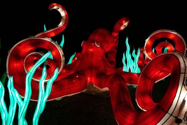 Alkohol a regenerácia: Stratégia minimalizmu namiesto absolútnej abstinencie