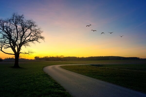 Svalová sústava: Typy svalov, kontrakcia a fyziológia pohybu