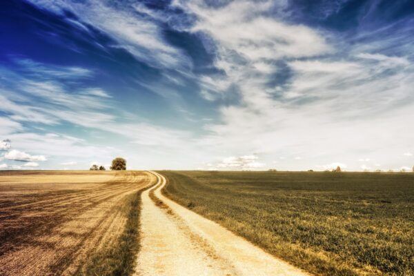 Obehová sústava a srdce: Anatómia, hemodynamika a riadenie