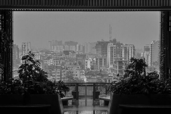 Transplantácia vlasov: FUE vs. FUT, príprava a protokol následnej starostlivosti