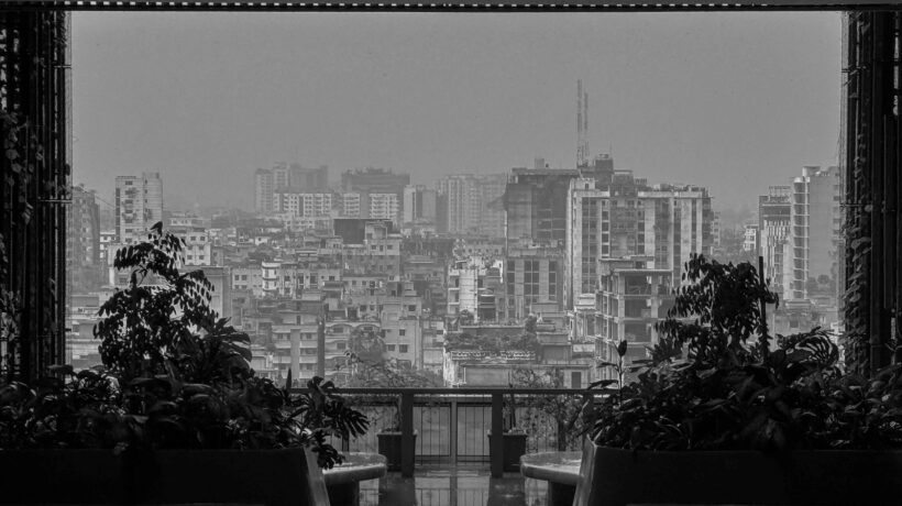 Transplantácia vlasov: FUE vs. FUT, príprava a protokol následnej starostlivosti