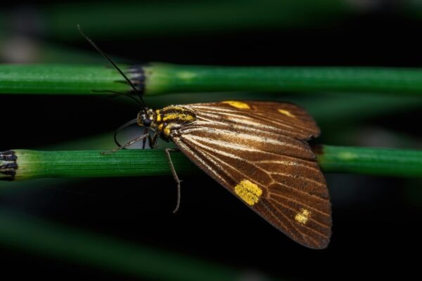 Estetika v adolescencii: Etické limity a odporúčania pre zákroky u mladistvých