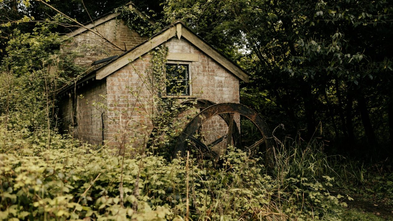 Udržateľnosť v estetike: Odpady, materiály, cruelty-free