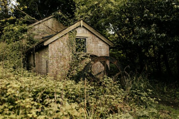 Udržateľnosť v estetike: Odpady, materiály, cruelty-free