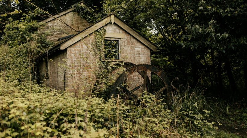 Udržateľnosť v estetike: Odpady, materiály, cruelty-free