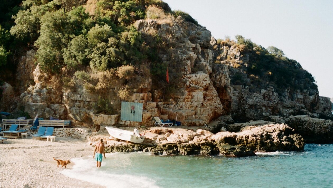 Neuroplasticita a učenie mozgu: Adaptácia a preorganizácia neurónových sietí