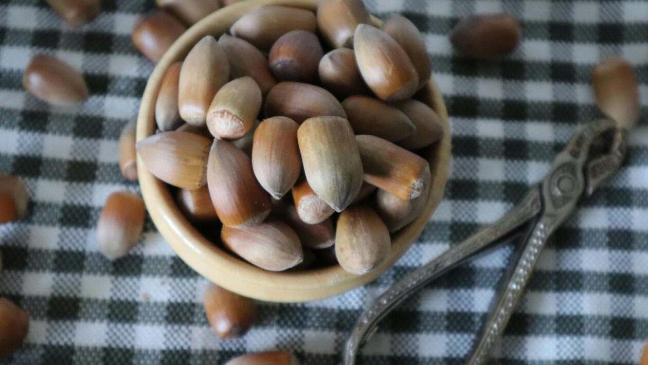 Čuch a chuť ako súčasť vnímania sveta: Chemosenzorické systémy a ich integrácia