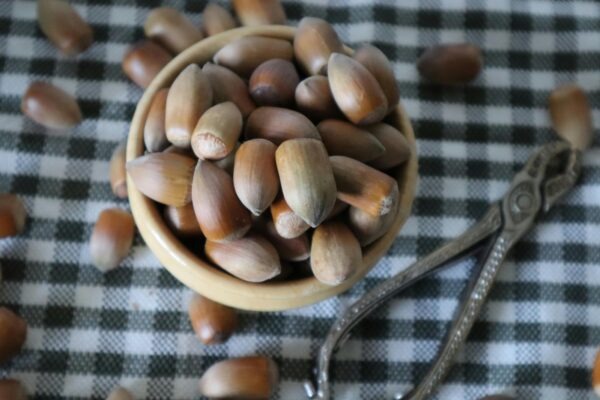 Čuch a chuť ako súčasť vnímania sveta: Chemosenzorické systémy a ich integrácia