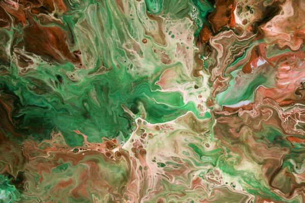 Zloženie a funkcie krvi: Hemopoéza a transportná funkcia