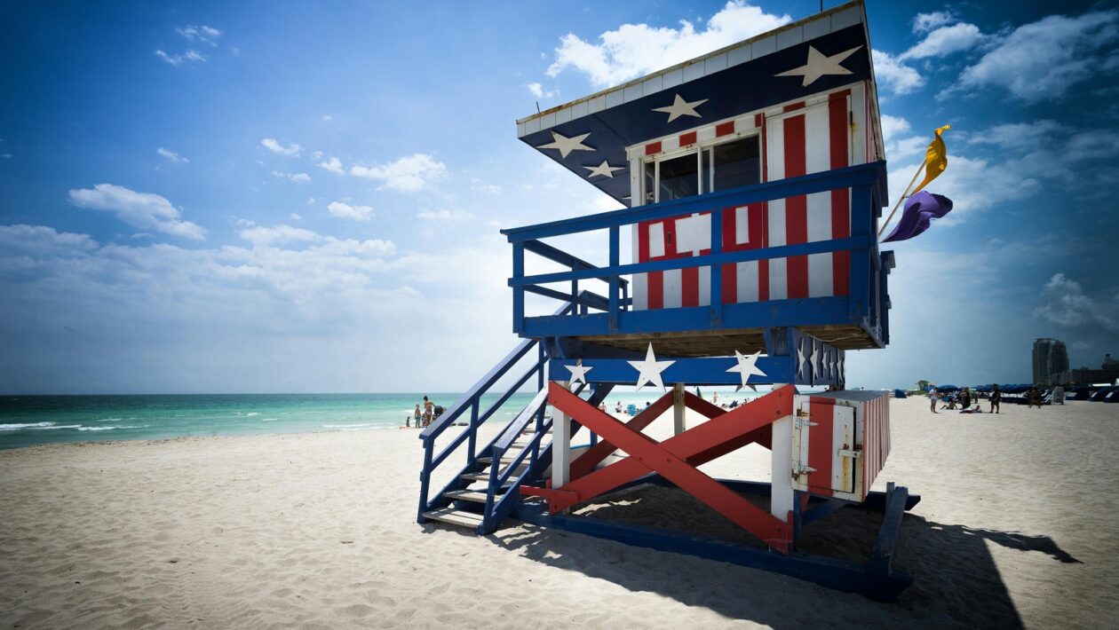 Prirodzená a získaná imunita: Komparácia a interakcia imunitných systémov