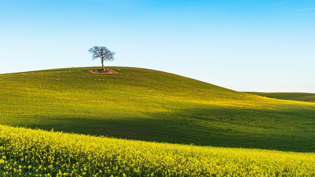Dýchacie cvičenia a kapacita pľúc: Zlepšenie efektivity dýchania a spirometria