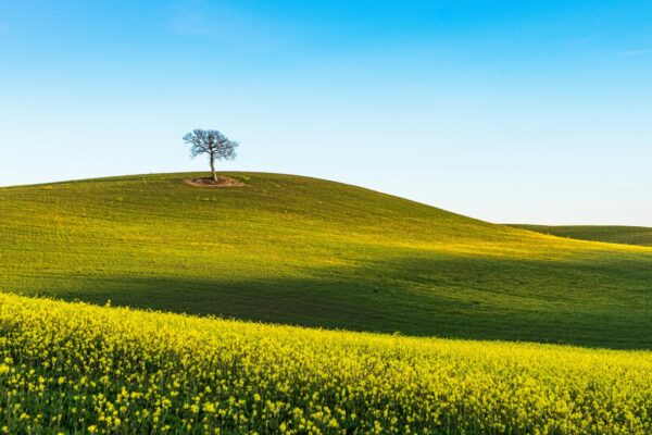 Dýchacie cvičenia a kapacita pľúc: Zlepšenie efektivity dýchania a spirometria