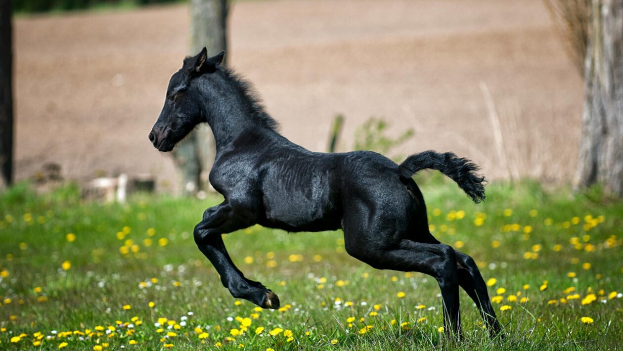 Najčastejšie typy nádorov a ich príznaky: Epidemiológia a včasná detekcia