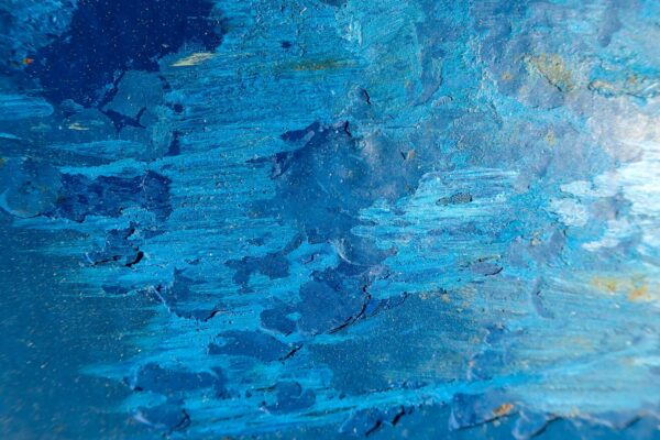 Vrodená a získaná imunita: Špecifickosť, pamäť a ich interakcia