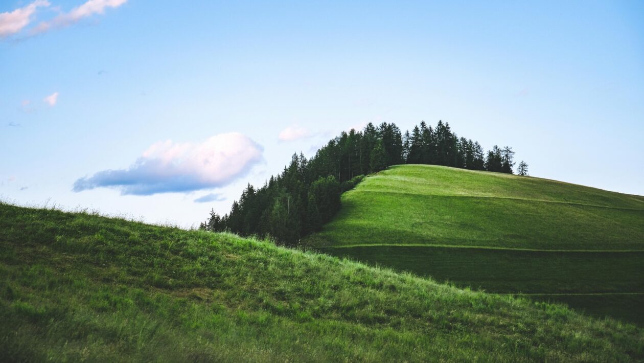 Očkovanie a imunitná pamäť: Princípy a efektivita vakcinácie