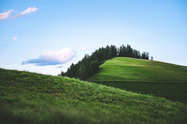 Očkovanie a imunitná pamäť: Princípy a efektivita vakcinácie