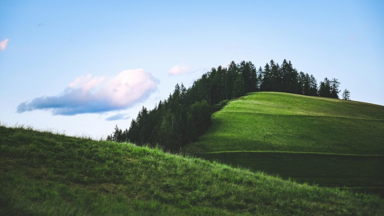 Vplyv výživy, spánku a stresu na imunitu: Modulácia obranyschopnosti