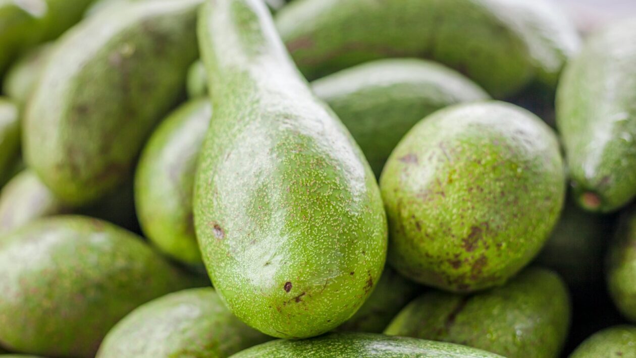 Rozdiel medzi vírusovou a bakteriálnou infekciou: Etiológia a liečebné postupy