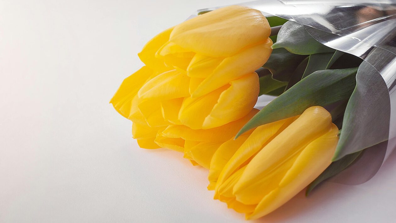 Prevencia prenosu infekcií: Hygiena, bariérová ochrana a sanitácia