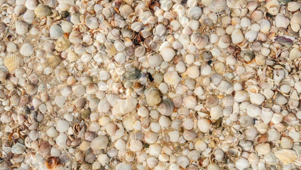 Najčastejšie alergény a ich vplyv: Diagnostika a environmentálne faktory