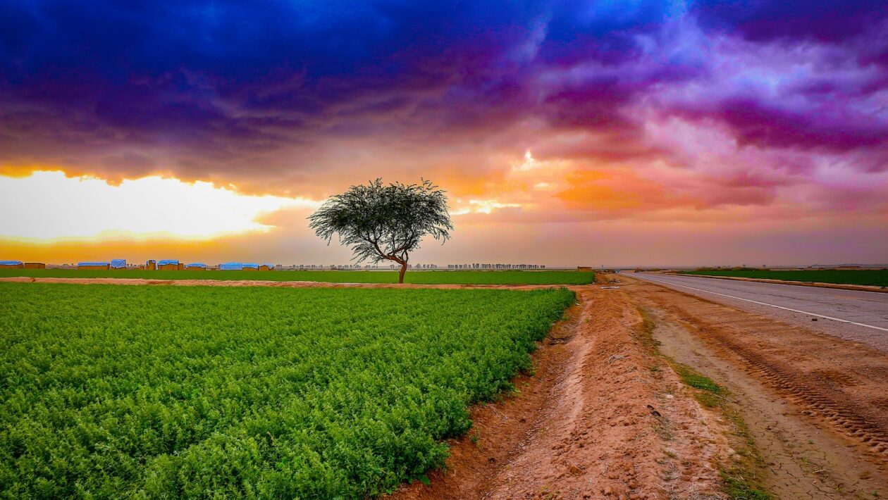 Psychologická odolnosť a relaxačné cvičenia: Resilience a autogénny tréning