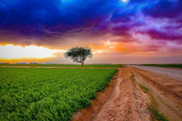 Psychologická odolnosť a relaxačné cvičenia: Resilience a autogénny tréning