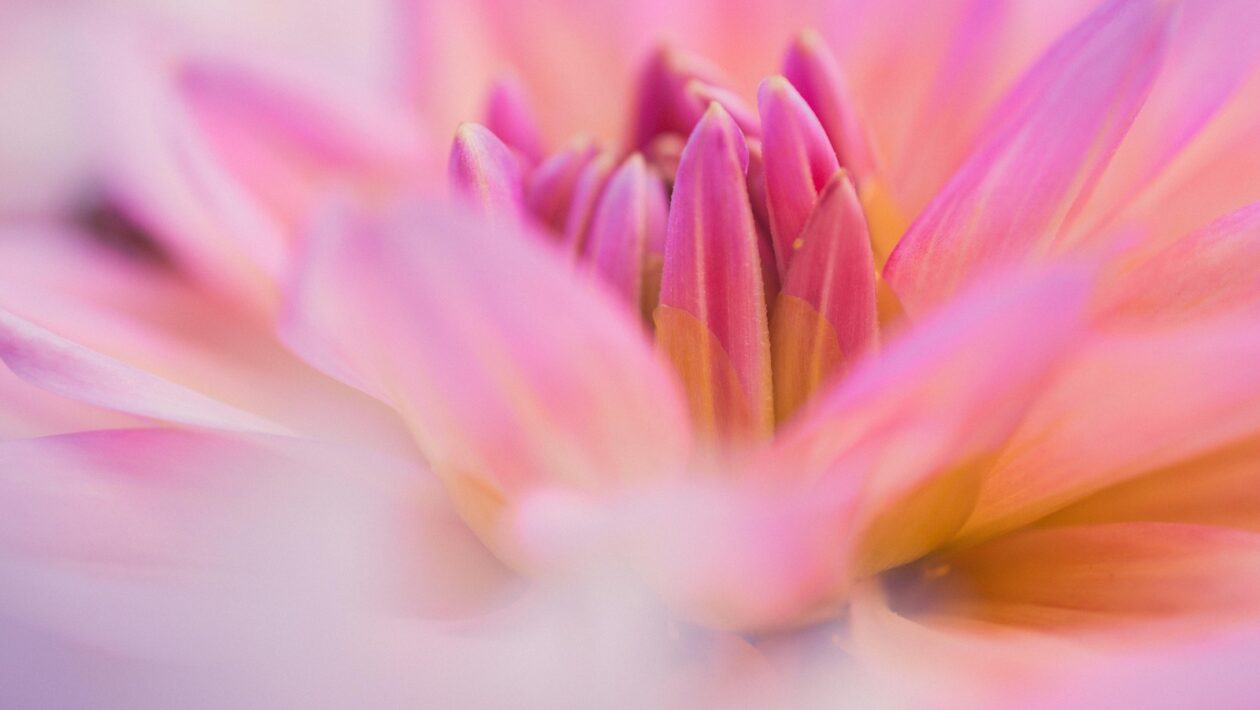 Prevencia vyhorenia u pomáhajúcich profesií: Sebastarostlivosť a supervízia