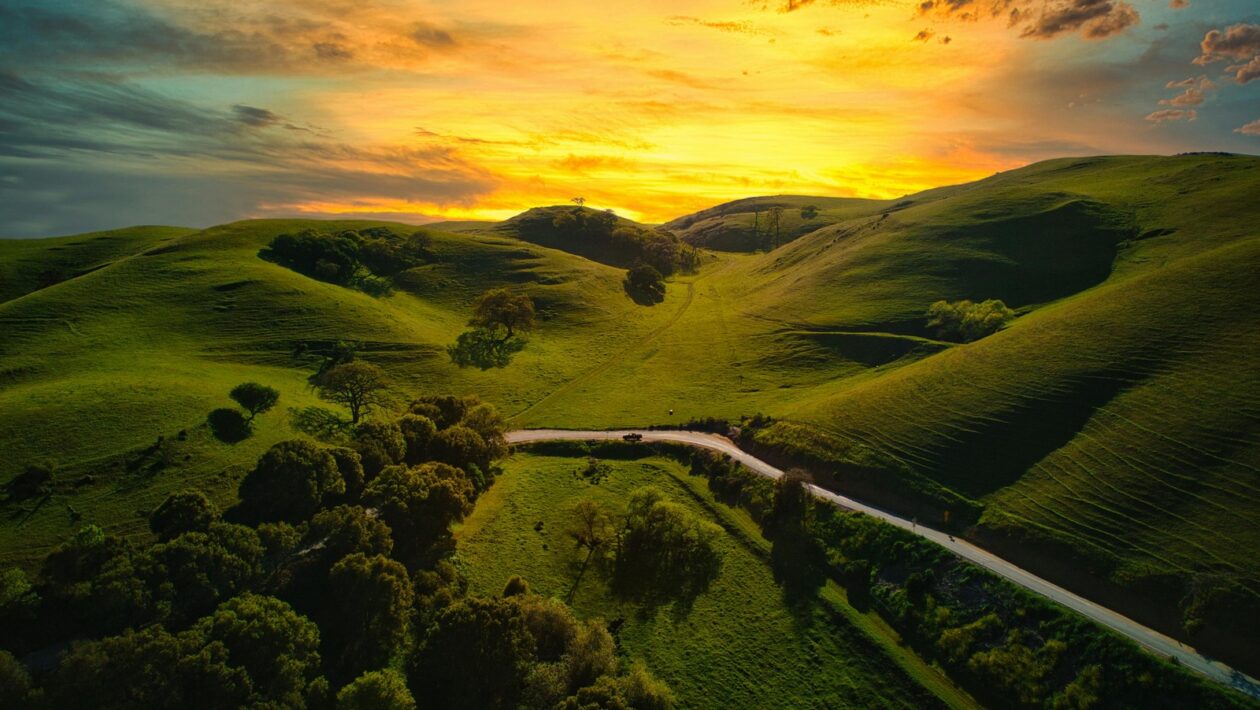 Fyziologické a psychologické faktory chronickej únavy: Energetický a emočný deficit