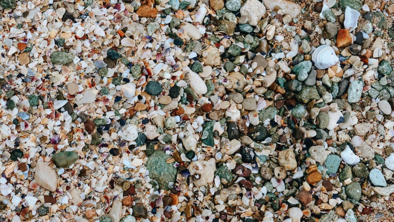 Fyzioterapia a liečba pohybových porúch: Manuálne techniky a kinezioterapia