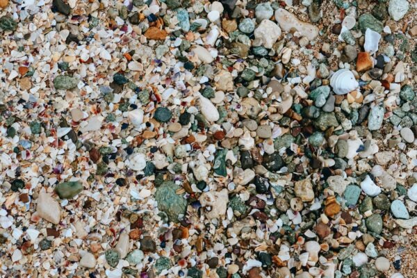 Fyzioterapia a liečba pohybových porúch: Manuálne techniky a kinezioterapia