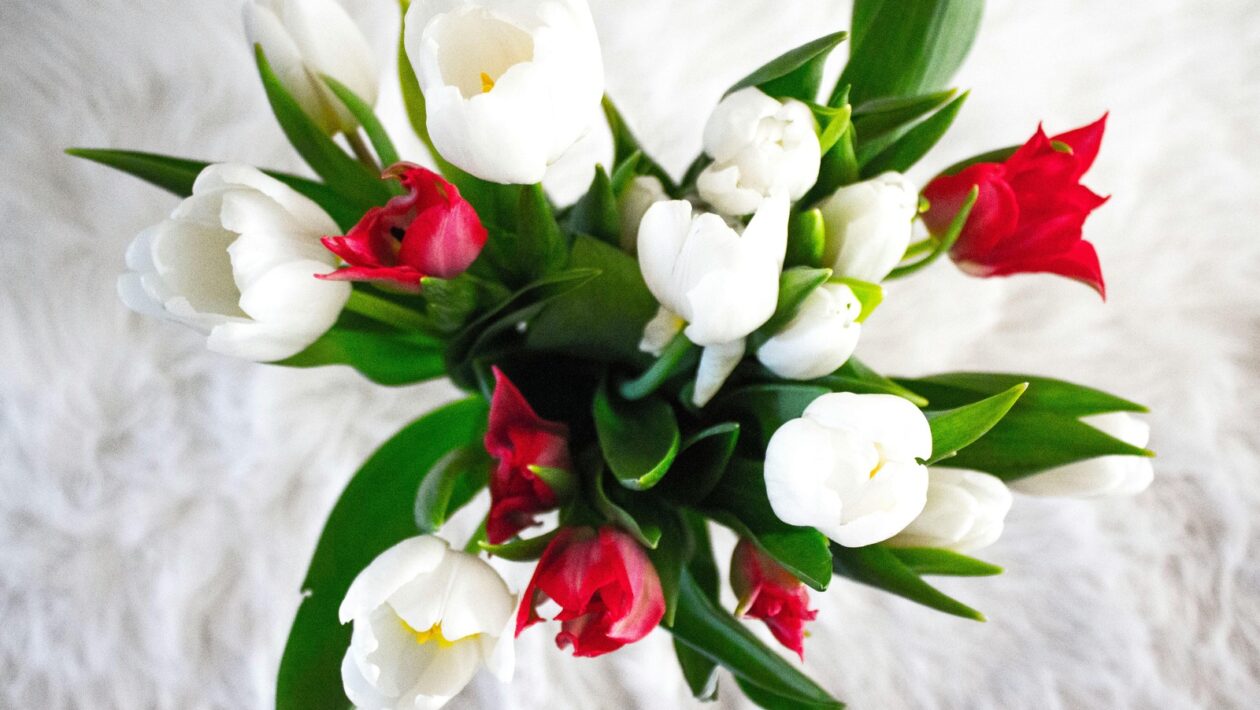 Prvá pomoc pri popáleninách a šoku: Akútne ošetrenie a manažment