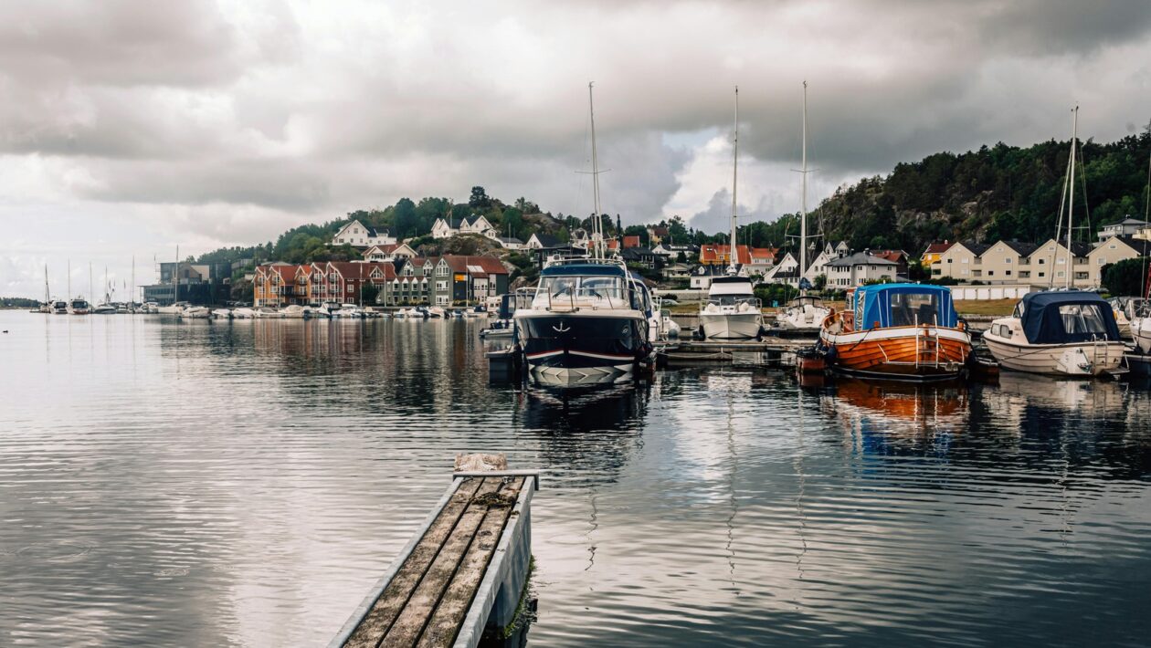 Primárna, sekundárna a terciárna prevencia: Stupne prevencie v medicíne