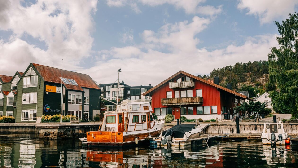 Úloha lekárov a verejného zdravotníctva: Organizácia a riadenie preventívnych programov