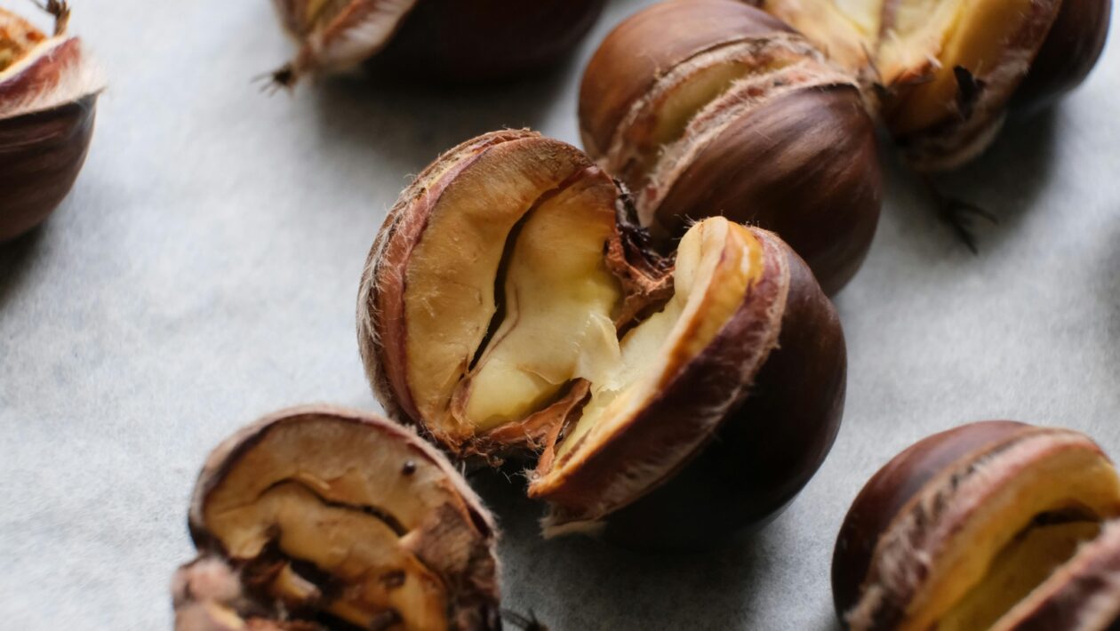 Forest bathing: Japonská terapia lesom – Šinrin-joku a jeho účinky