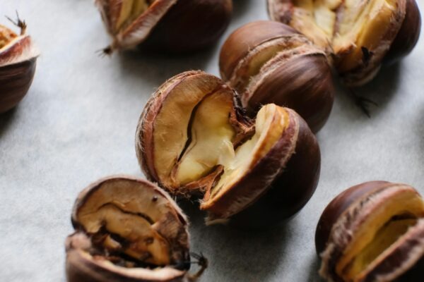 Forest bathing: Japonská terapia lesom – Šinrin-joku a jeho účinky