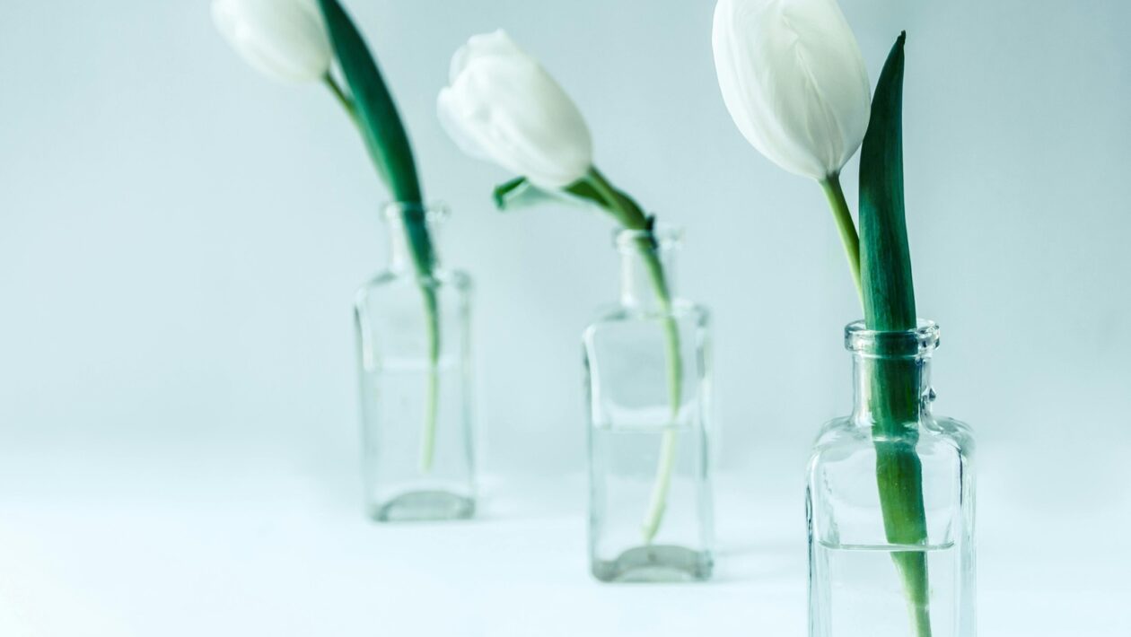 Sebaidentita a duševná pohoda: Sebaúcta, sebaobraz a ich význam