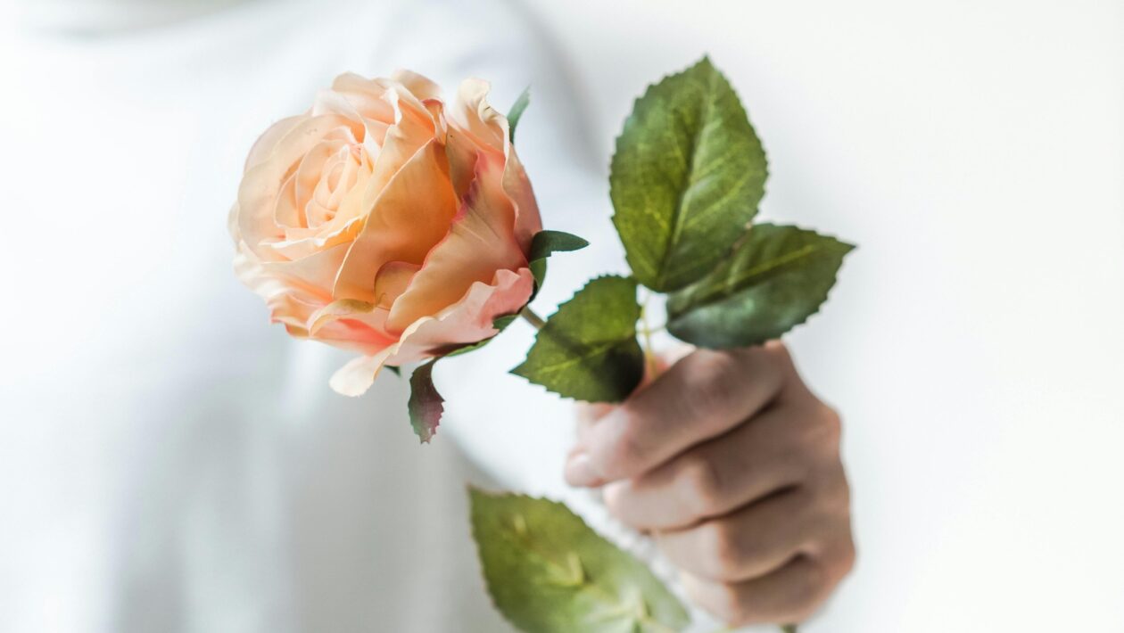 Vedomé prežívanie emócií: Emocionálna inteligencia a akceptácia