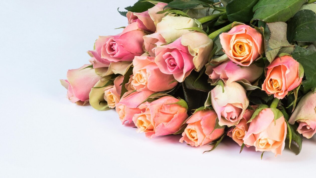 Vplyv spoločnosti na formovanie identity: Sociálne normy a roly